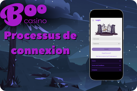 Formulaire de connexion Boo Casino avec e-mail et mot de passe.