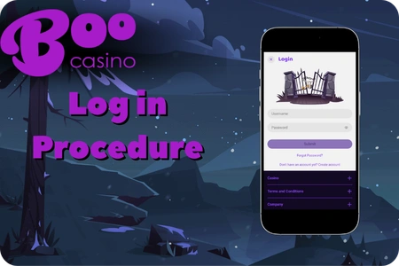 Log in BooCasino with email and password